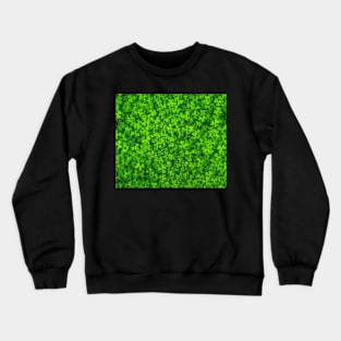 Lucky Clover Pattern Crewneck Sweatshirt